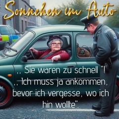 sonnchen im Auto
