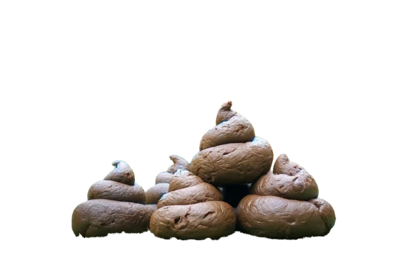 traced-fester-hundekot-1-1024x658.png